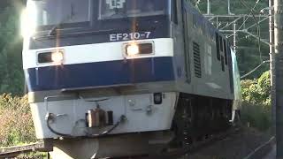 【2012-11-04】ピッカピカのムコナ君（E657系）甲種輸送