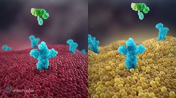 Lymphir by Citius Pharma