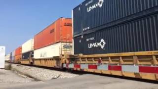 CSX C40-8W Ex-LMSX 701