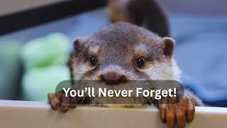 A Rare Wildlife Encounter You’ll Never Forget!