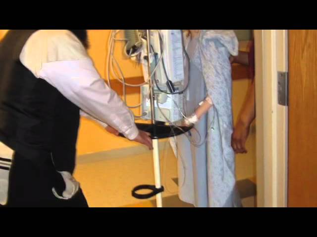 End the Horror for Moishe