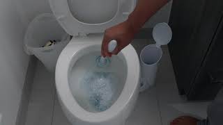 Clorox Toilet Wand - How to Use