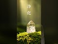 心と体に溜まった汚れや邪気を洗い流し 幸運を呼び込む音楽 - 浄化ヒーリング音楽, 瞑想音楽, 落ち着く音楽, 浄化音楽, 癒しの音楽 417 Hz #shorts