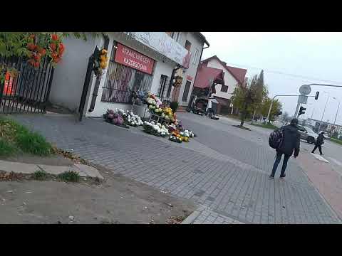 Video: Čas Rojstva Izbere Duša - Alternativni Pogled