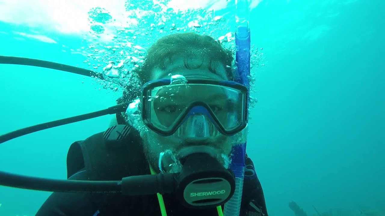 "Aquarium" Molasses Reef Scuba Dive Key Largo Dive Trip Day 4