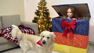 Playing Christmas Hide And Seek With My Dog - Part 6