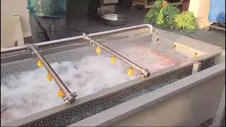 AUTOMATIC VEGETABLE WASHING MACHINE