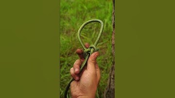 Vua của mọi nút buộc, nút chữ U #asmr #camping #lifehack #outdoors