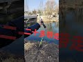#Fishingisthetopsports#SlipperyFishing #FishingMan#FeelingThanks to #carp Kuaishou I'm going