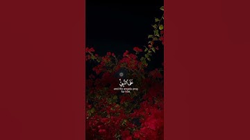 صلوا على رسول الله 📿🤍||لا تهربواا من القرآن الكريم 🤚🏻🥺#اللهم_صل_وسلم_على_نبينا_محمد#قرآن#تلاوة_خاشعة