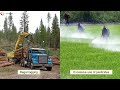 The Water And Carbon Cycles Explained Through Engaging Challenges