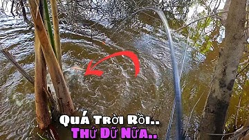 Tập 33 - Câu Cá Sông Mùa Nước Nhiễm Mặn Trúng Bầy Cá Rô Khủng Giật Quá Đã Tay | Trương Rô