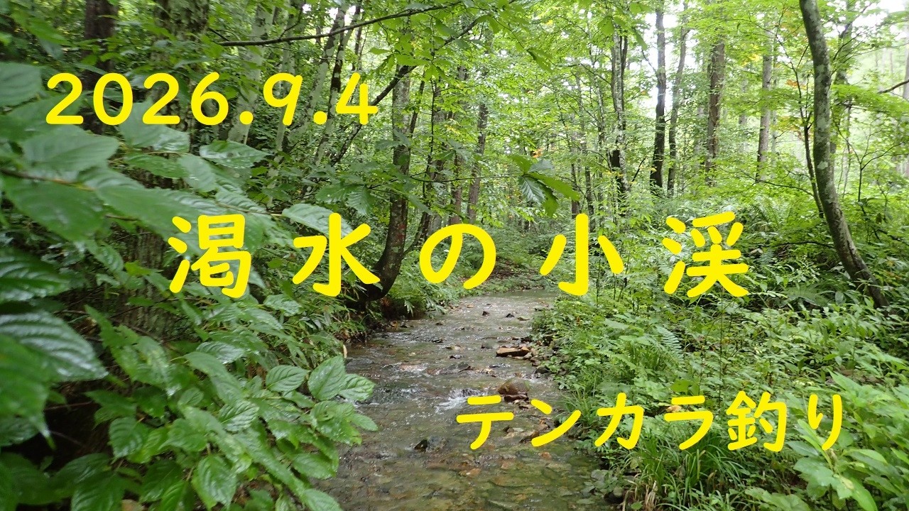 2026.9.4 渇水の小渓【テンカラ釣り】 - YouTube