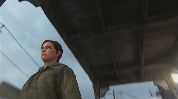 The Last Of Us Part Glitches - Texture Glitch