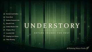 UNDERSTORY 🌿 Nature Sounds for Deep Sleep, Relaxation & Forest Ambience (2h+)