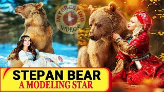 Bear abandoned by mom as a cub now a modeling star | INTERESTING VIDEOS | Stepan bear Russia, STEPAN