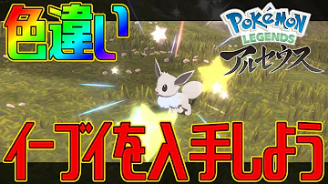 ポケモンアルセウス 色違いイーブイを入手しよう 色違いイーブイ2匹目 Pokémon LEGENDS アルセウス 