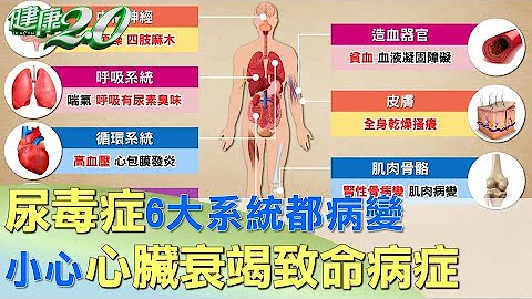 尿毒症6大系统都病变 小心心脏衰竭致命病症 健康2.0 - 天天要闻