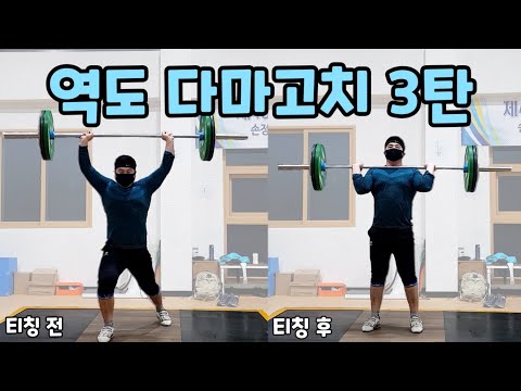 역도 다마고치 3탄