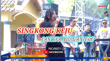 Singkong keju - Cantika Nuswantoro OM ADELLA LIVE MUSIC