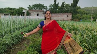 Aaj Toh Kay Karne Gai Khet Me Or Kay Kiya