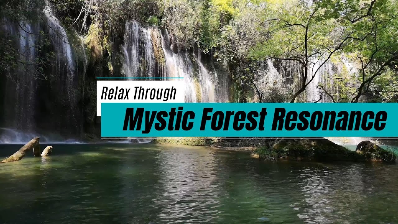 Mystic Forest Music==DNXL Music-Original, Genre-blending  eclectic music-