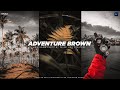 Adventure brown preset for lightroom  free dng file  preset for creators