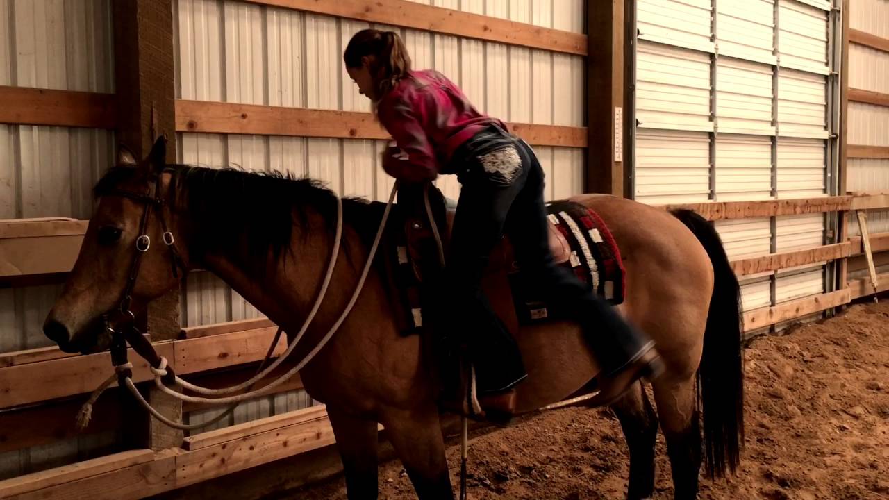 Horsemanship: 10-year-old Hailey Hepworth with her Favorite Horse, Susie