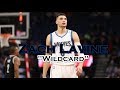 Zach Lavine - The Flying One