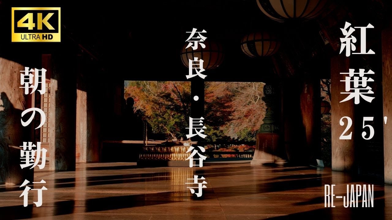【4K/声明BGM】奈良・長谷寺　朝の勤行と紅葉25'　