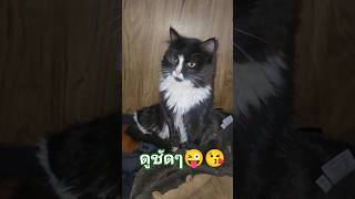 น่ารักน่ะเนี่ย😜