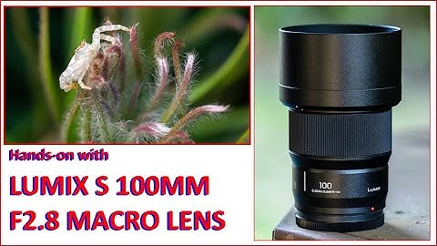 Hands-On With The LUMIX S 100MM F2.8 MACRO LENS.