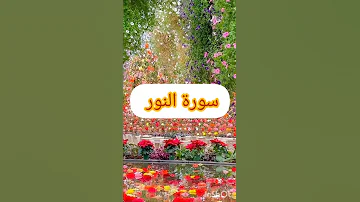 سورة النور 