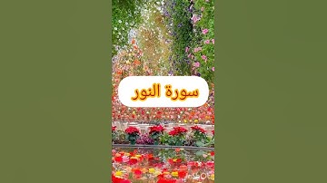 سورة النور 🌹