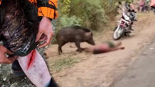 HORRIBLE AND DANGEROUS HUNTING, Wild Boar Injuries the Hunter -  Best wild boar hunts compilation