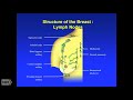 TRACO 2017: Breast cancer and SCLC