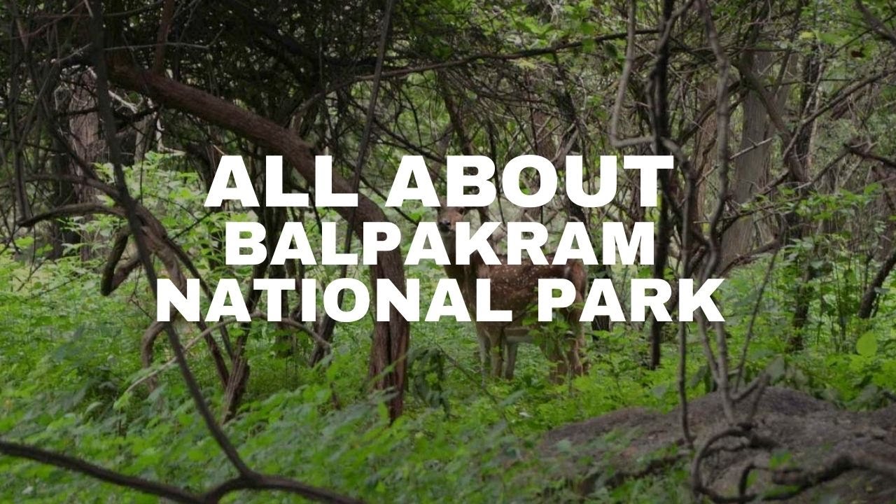 Balpakram National Park Tura Garo Hills Meghalaya - Top 50 places to visit  in Sikkim | Darjeeling - Top 50 tour packages of SikkimBest Tours & Travel  Agency of Sikkim 2022 - TravelGangtok Holidays