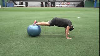 Stability Ball Pike Rollout