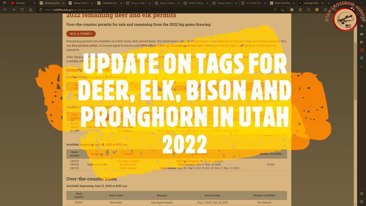 Utah Tag UPDATE ON TAGS FOR DEER, ELK, BISON AND PRONGHORN IN UTAH 2022 - YouTube