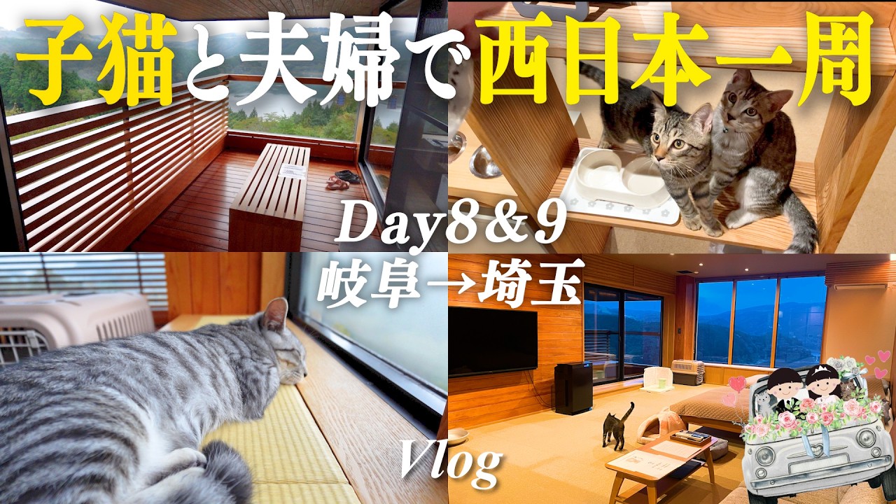 猫ちゃんたち大歓喜😻旅の最後に最高の宿に出会いました【西日本一周vlog最終回】ペット宿泊｜岐阜｜旅行｜観光｜グルメ｜温泉｜子猫｜猫のいる生活｜ネコドライブ｜結婚生活｜新婚旅行｜