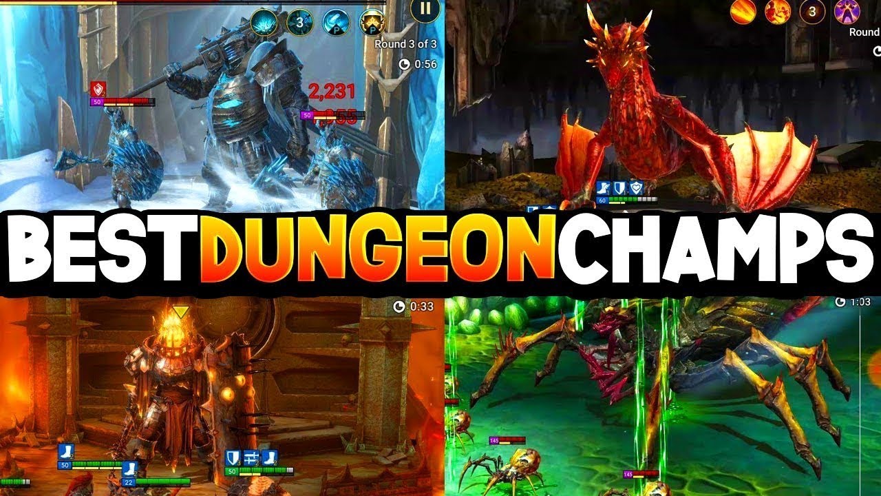 RARE Champions for EVERY Dungeon! YouTube