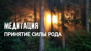 Медитация ПРИНЯТИЕ СИЛЫ РОДА. Связь с предками. Как обрести силу рода? СИЛА РОДА. КОРНИ