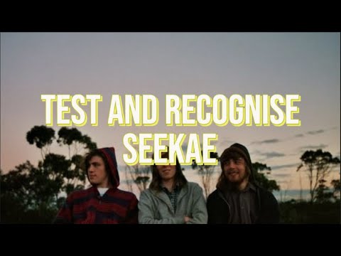 Test and Recognise - Seekae (Lyrics)