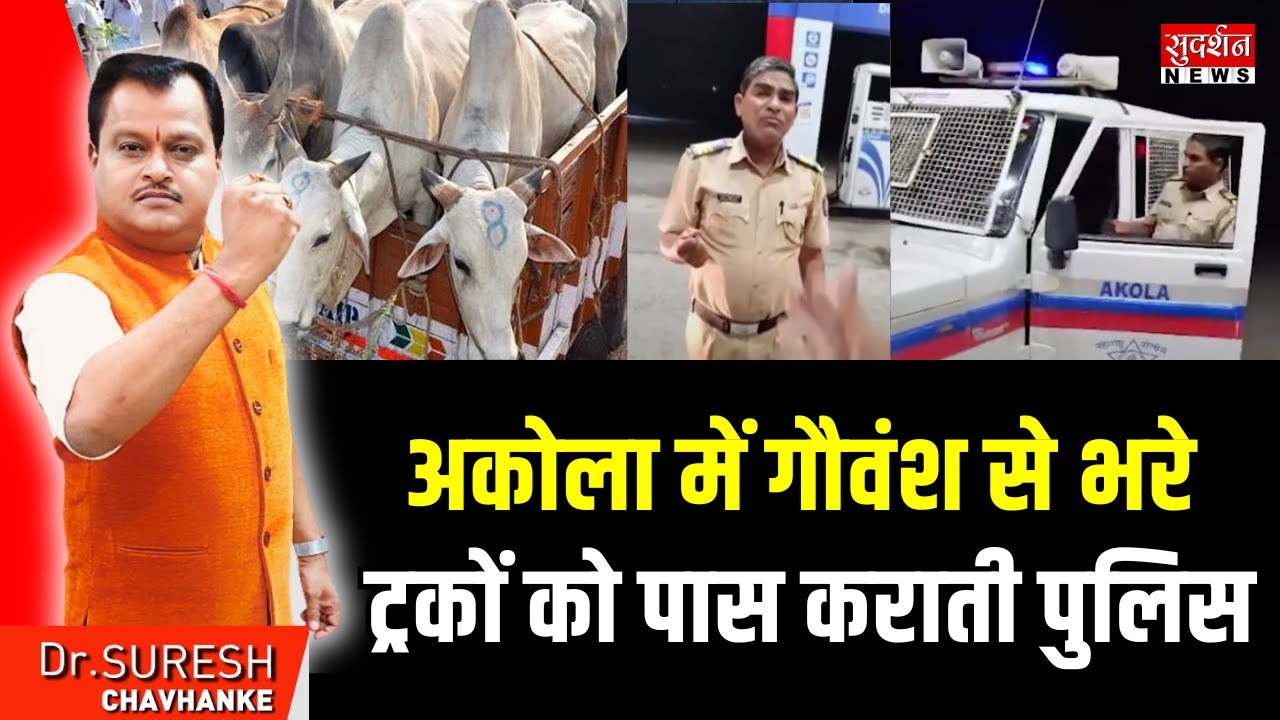 Maharashtra cow smuggling: अकोला में गौवंश से भरे ट्रकों को पास कराती पुलिस | Bakrid 2025