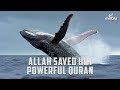 Allah saved him heart touching quran