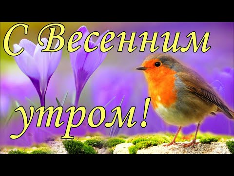 С Весенним утром! Как легко и чудесно сегодня! Красивая Открытка для Вас