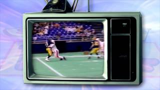 Jake's Stadium Pizza  "40 Years - West Andrew"