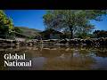 Global National: May 31, 2026 | Heavy rain elevates flood concerns in Alberta, BC
