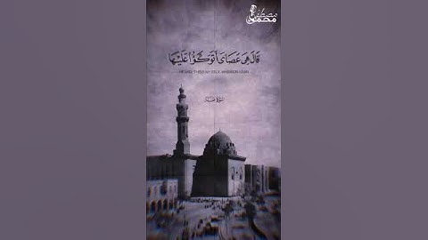تلاوه  نادره لصياد القلوب الشيخ شعبان الصياد