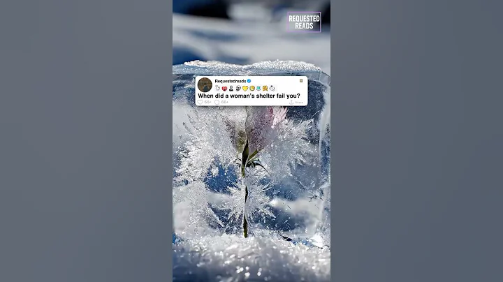 When did a woman’s shelter fail you?